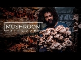 Cultivating Gourmet and Medicinal Mushrooms