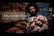Cultivating Gourmet and Medicinal Mushrooms