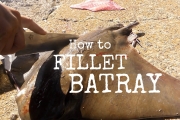 Catch and Cook BATRAY! Delicious Recipe!!