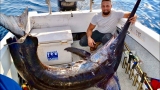 BIG SWORDFISH HEARTBREAK AND TRIUMPH -YouFishTV