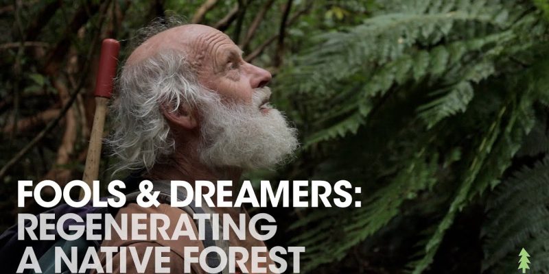 Man Spends 30 Years Regenerating Farmland into Amazing Forest | Fools & Dreamers (Full Documentary)