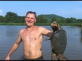 The Famous “Turtleman” Episode