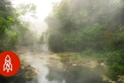 The Amazon’s Boiling River Kills Anything That Enters