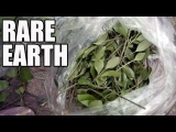 Somalia’s (Only) Popular Drug