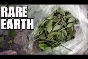 Somalia’s (Only) Popular Drug