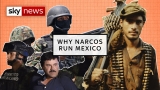 Explained: How did Narcos take control of Mexico?
