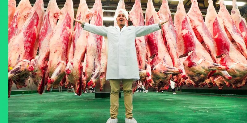 Japanese Kobe Beef Factory!!! MOST EXPENSIVE Meat in the World!!!