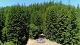 50 years off-grid: architect-maker paradise amid NorCal redwoods