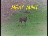 Central Alabama Deer Hunting – Meat Run 1.0