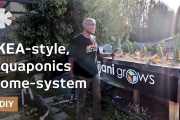 Eric Maundu’s home-aquaponics can grow veggies & fish anywhere