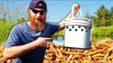 Breeding Maggots in a Tree (Auto Fish ‘Vending Machine’!) | Survival Fishing Challenge